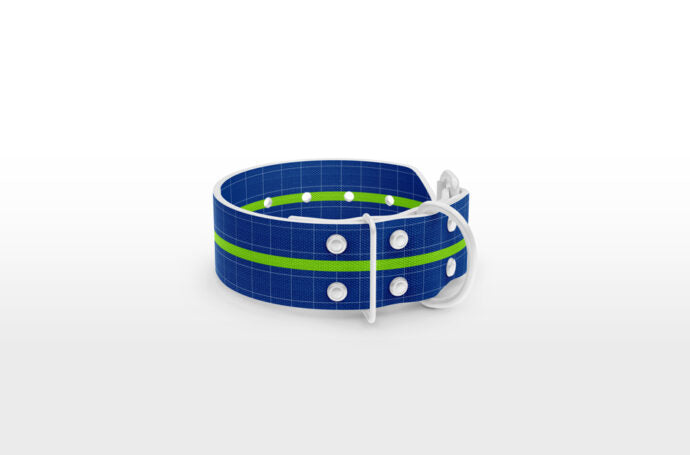 Create a Mockup of a Dog Collar