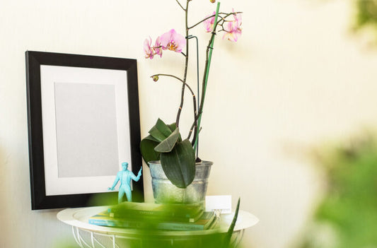 Generate Mockups for Framed Art